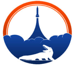 Swamp Launch logo